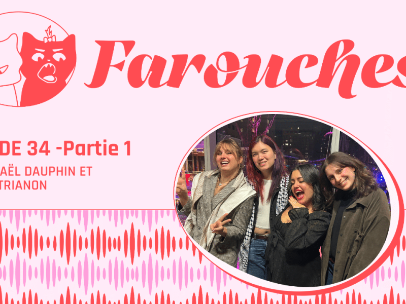 <span class="post-format">Balado</span>Épisode 34 (Partie 1) – Aplaventrisme, droits trans et Loi 2