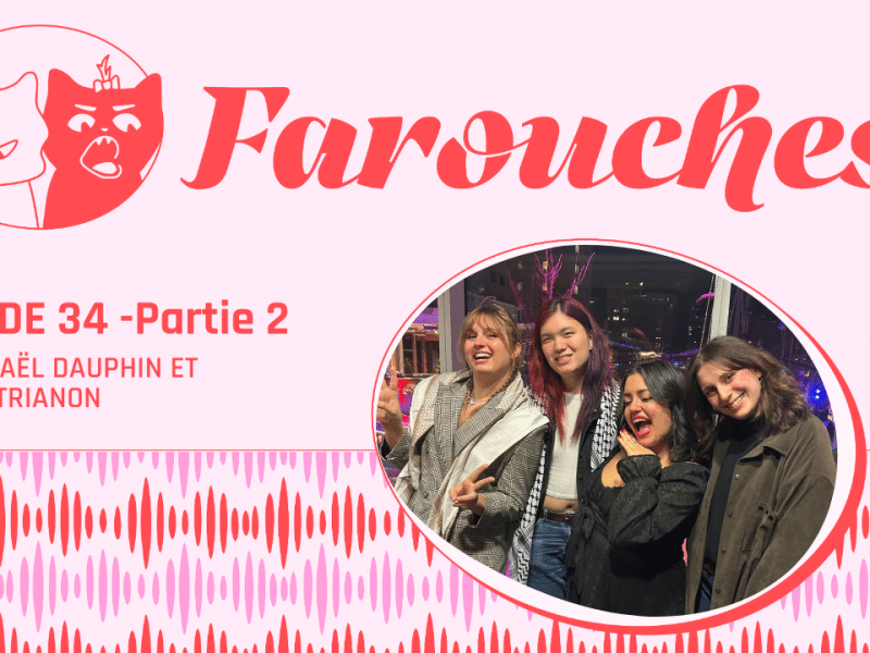 <span class="post-format">Balado</span>Épisode 34 (Partie 2) – Militance trans, anecdotes transphobes et oppression